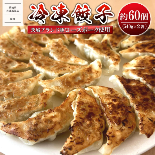 【茨城県共通返礼品】 ローズポーク使用 冷凍餃子 約60個 (540g×2袋)  2372833 - 茨城県境町