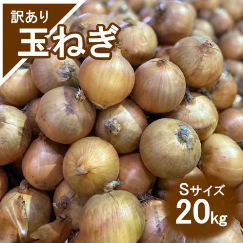 【訳アリ】玉ねぎ 20kg Sサイズ ( 北海道産 野菜 たまねぎ わけあり )【009-0005】 2373357 - 北海道北見市