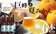 【年内お届け】東三河の地産地消にこだわったクラフトビール『ＤＡＭＯＮＤＥ』巨峰・夏みかん（２種６本セット） ビール ビールセット 贈答 ギフト お祝い お酒 地ビール 地酒 瓶ビール おススメ ギフト プレミアムビール BBQ 差し入れ クラフト 麦酒 愛知県 豊橋市