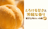 [黄金桃]とろける甘さと芳醇な香り 約2.5kg(7〜10玉)岩手県平泉町 大文字りんご園[dma501-og]