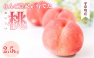 昨年夏人気NO.1 ≪2026年8月～発送≫ 平泉町産 桃 約2.5kg (7～10玉) 品種おまかせ  「まどか・おどろき・川中島白桃・黄金桃」 からお届け / 桃 もも モモ 白桃 フルーツ 甘い 大文字りんご園 【dma501-kw】