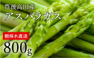 グリーンアスパラガス（800g）【5月中旬~6月配送】