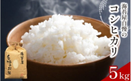 お米 コシヒカリ 5kg 令和7年産 米 こめ 海苔屋の米 ご飯 ごはん おにぎり 白米 食品 備蓄 備蓄米 保存 防災 ギフト 贈答 プレゼント お取り寄せ グルメ 送料無料 徳島県 阿波市 三興海苔株式会社