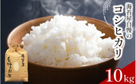 お米 コシヒカリ 10kg 令和7年産 米 こめ 海苔屋の米 ご飯 ごはん おにぎり 白米 食品 備蓄 備蓄米 保存 防災 ギフト 贈答 プレゼント お取り寄せ グルメ 送料無料 徳島県 阿波市 三興海苔株式会社