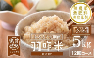 定期便 数量限定 令和7年産 5kg × 12回 計 60kg 玄米 コシヒカリ 羽咋米 自然栽培米 玄米 羽咋 米 能登 こしひかり こだわり 石川県産 環境 こめ コメ お米 2025年産 おこめ R7 ご飯 ごはん 送料無料 数量 限定 ギフト ふるさと納税 能登 石川 羽咋 はくい
