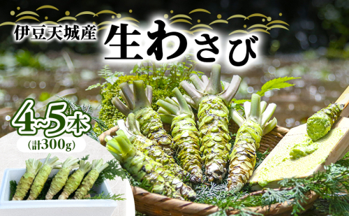 伊豆天城産 生わさび 4～5本 計300g 調味料 薬味 わさび 山葵 生山葵 ワサビ 生ワサビ 刺身 寿司 新鮮 河津町産 静岡県産 2374128 - 静岡県河津町