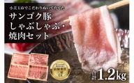 2－K　脂身が甘い！サンゴク豚（しゃぶしゃぶ・焼き肉セット）1.2kg