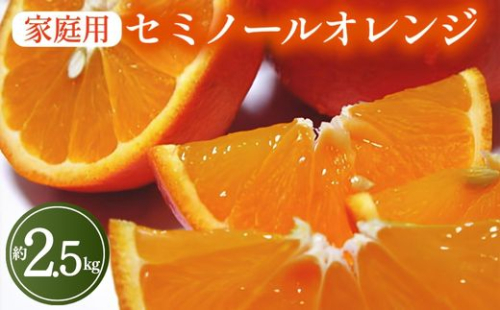 【先行予約】【春の美味】【農家直送】爽快カンキツ　セミノールオレンジ（ご家庭用）約2.5kg ｜ 柑橘 フルーツ 果物 くだもの 食品 人気 おすすめ 選べる 国産 美浜町 2374315 - 和歌山県美浜町