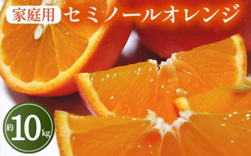 【先行予約】【春の美味】【農家直送】爽快カンキツ　セミノールオレンジ（ご家庭用）約10kg ｜ 柑橘 フルーツ 果物 くだもの 食品 人気 おすすめ 選べる 国産 美浜町 2374318 - 和歌山県美浜町