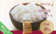 令和7年産新米　淡路島産キヌヒカリ　白米10㎏