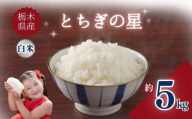 栃木県産とちぎの星 5kg | お米 米 こめ ご飯 美味しい ふるさと 栃木県 矢板市 [栃木県共通返礼品] ブランド米