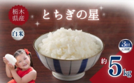 [定期便3回]栃木県産とちぎの星 5kg | お米 米 こめ ご飯 美味しい ふるさと 栃木県 矢板市 [栃木県共通返礼品] ブランド米