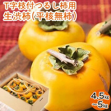 【2026年先行予約】T字枝付つるし柿用生渋柿 4.5～5kg ふるさと農園《10月中旬-11月上旬頃出荷》 2374583 - 和歌山県日高町