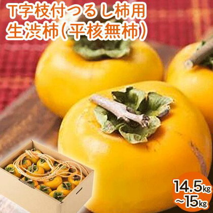 【2026年先行予約】T字枝付つるし柿用生渋柿 14.5～15kg ふるさと農園《10月下旬-11月下旬頃出荷》 2374584 - 和歌山県日高町
