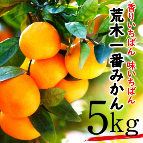 【先行予約・年内配送】令和7年12月中出荷/荒木一番みかん約5kg _1271R-1 2374585 - 大分県国東市