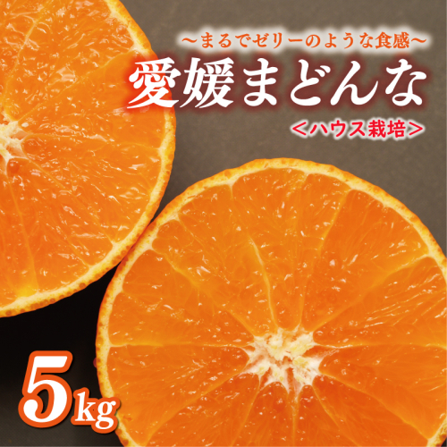 ハウス栽培 正品 まどんな 5kg 17000円 愛果28号 紅まどんな と 同品種 あいか アイカ 高級 人気 ブランド 柑橘 果物 フルーツ ハウス栽培 施設栽培 ギフト プレゼント 数量限定 期間限定 産地直送 国産 農家直送 特産品 お取り寄せ みかん mikan 蜜柑 みかん ミカン マドンナ スマイルカット 甘い おいしい ゼリー ぷるぷる 前田ファーム 愛南町 愛媛県 2374586 - 愛媛県愛南町