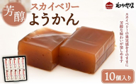 芳醇スカイベリーようかん ギフト 10個入り ※離島への配送不可