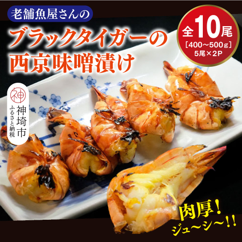 【スピード発送】ブラックタイガーの西京味噌漬け 5尾×2パック【海老 味噌漬け 焼くだけ 簡単調理 エビ料理 おつまみ おかず バーベキュー お弁当】(H032140) 2374859 - 佐賀県神埼市