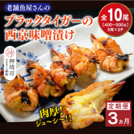 【3カ月定期便】ブラックタイガーの西京味噌漬け 5尾×2パック×3回【海老 味噌漬け 焼くだけ 簡単調理 エビ料理 おつまみ おかず バーベキュー お弁当】(H032142)