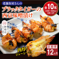 【12カ月定期便】ブラックタイガーの西京味噌漬け 5尾×2パック×12回【海老 味噌漬け 焼くだけ 簡単調理 エビ料理 おつまみ おかず バーベキュー お弁当】(H032144)