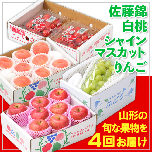 【定期便4回】☆フルーツ王国山形☆佐藤錦・白桃・シャインマスカット・りんご  FY25-358 2374961 - 山形県山形市