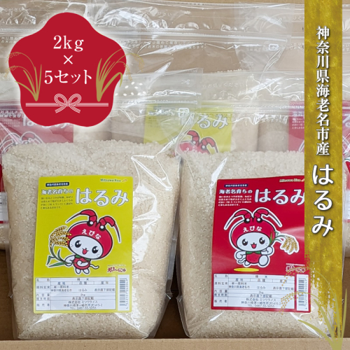 神奈川県海老名市産はるみ　2ｋｇ×5セット【 お米 神奈川県 海老名市 】 2375104 - 神奈川県海老名市