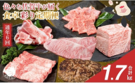 【佐賀牛定期便！偶数月にお届け☆】食卓彩り定期便 通年6回コース【有田まちづくり公社】佐賀牛 牛肉 黒毛和牛 極上の佐賀牛 厳選 お肉 おにく カルビ焼肉 ロースブロック バラスライス ロースステーキ しゃぶしゃぶ ハンバーグ 6回 定期便 ギフト 贈り物 贈答 10万円 za029