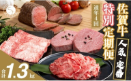 【ヒレステーキも届く！人気・定番のお肉が楽しめる♪】佐賀牛 特別定期便 通年4回【有田まちづくり公社】佐賀牛 牛肉 黒毛和牛 極上の佐賀牛 厳選 お肉 おにく しゃぶしゃぶ すきやき ローストビーフ ヒレ ステーキ 切り落とし 4回 定期便 ギフト 贈り物 贈答 za031