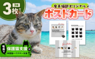 [奄美の保護猫支援(ワクチン代)]+ポストカード3枚セット