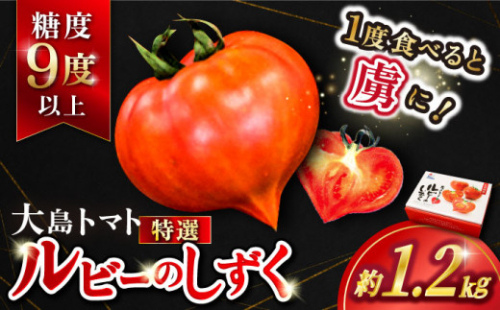 【2027年3月より発送開始：先行予約】【特選】大島トマト ルビーのしずく 約1.2kg 高糖度トマト ＜大島造船所 農産グループ＞ [CCK016]  長崎 西海 トマト とまと 大島トマト 高糖度 贈答 西海市産 高糖度 トマト 野菜 新鮮 甘い 高糖度 トマト 期間限定 大島トマト tomato 長崎県 贈答トマト 甘いトマト トマト定期便