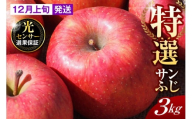 [2025年12月上旬発送][特選]りんご 約3kg サンふじ 青森 五所川原