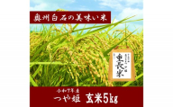 令和7年産 つや姫 玄米 5kg | お米 米 玄米 ごはん ブランド米 国産米 東北米 国産 蔵王連峰 ふっくら 甘い もっちり 食感 ご飯 お取り寄せ グルメ 人気 ランキング ギフト 贈答 健康 オンライン申請 ワンストップ ふるさと納税 宮城県白石市産 おもしろいし市場[06171]