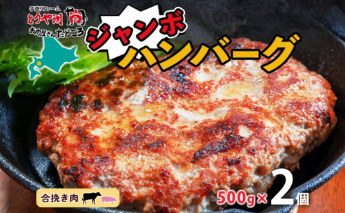 特大ハンバーグ 500g×2個 ハンバーグ おかず 冷凍 夕食 焼くだけ 手ごね 真空パック 挽肉 ジューシー 本格的 パーティー お祝い お取り寄せグルメ ギフト お肉屋 たどころ 送料無料 北海道 洞爺湖町 2375724 - 北海道洞爺湖町