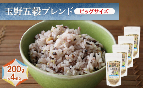玉野五穀ブレンド ビッグサイズ 200g×4個入り 約1ヵ月分 五穀ブレンド 雑穀ブレンド 国産 米 黒米 もちきび もちむぎ 大豆 たかきび 2375747 - 岡山県玉野市