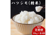 ＜毎月定期便＞岐阜県産ハツシモ(精米) 10kg全4回【4076385】