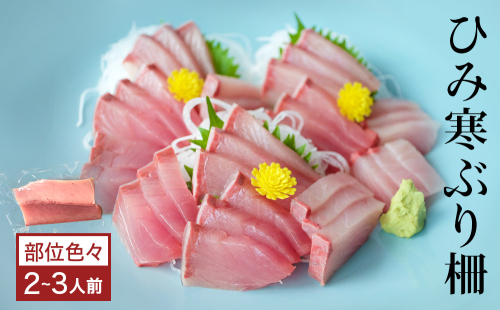 【先行予約】ひみ寒ぶり 柵 2-3人前（部位色々） 富山湾  能登 寒ブリ 天然鰤 冷蔵 サク 富山県 氷見市 2375878 - 富山県氷見市
