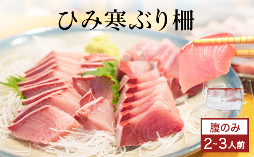 【先行予約】ひみ寒ぶり 柵 2-3人前（腹のみ） 富山湾  能登 寒ブリ 天然鰤 冷蔵 サク 富山県 氷見市 2375883 - 富山県氷見市