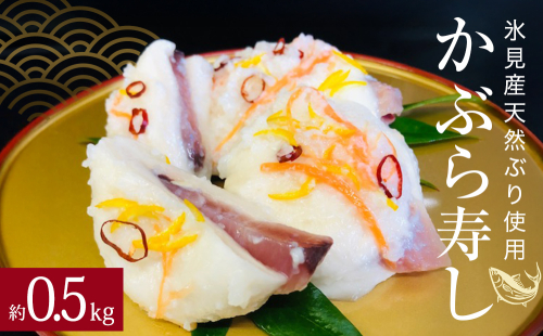 ＜先行予約＞ 氷見産天然ぶり使用 かぶら寿司 約500g ＜2025年11月下旬以降順次発送＞ かぶら寿し 漬物 郷土料理 発酵 富山県 氷見市 2375884 - 富山県氷見市