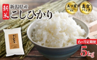 [5kg定期便]6か月 コシヒカリ 真空パック 5kg 令和7年産 米 新米 五つ星お米マイスター 新米 新潟県産 新発田産 コシヒカリ 備蓄 非常 防災 長期保存 アウトドア ごはん ご飯 お米 米 こめ 新潟県 新発田市 三糧定期便 sanryo015