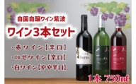 AL039-1 ワイン3本セット【自園自醸ワイン紫波】
