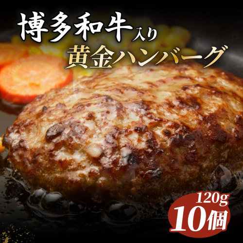 博多和牛入りハンバーグ120g×10個 2375938 - 福岡県篠栗町