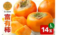 【2026年先行予約】富有柿 L14玉（1段） 柿 カキ かき フルーツ 果物 くだもの 産地直送 茨城県 石岡市 A44-001