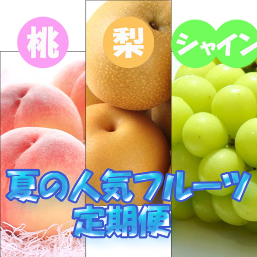 フルーツ 定期便 全3回 【7月・8月・9月発送】 和歌山の夏の人気フルーツをお届け（桃・梨・シャインマスカット） ｜ 桃 葡萄 梨 和歌山県産 国産 果物 旬の果物 産地直送 2376033 - 和歌山県美浜町