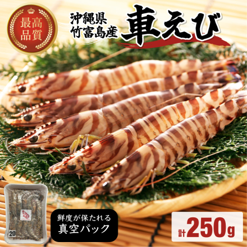 車えび 竹富島産 真空パック（冷凍） 250g 2376043 - 沖縄県竹富町
