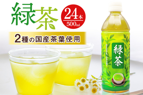 琉球ビバレッジ　緑茶500ml×24本 2376117 - 沖縄県うるま市