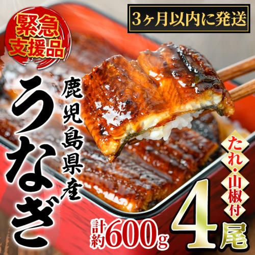 【0224337a】＜3ヶ月以内に発送予定＞東串良町のうなぎ蒲焼(無頭)(4尾・計約600g・タレ、山椒付) うなぎ 高級 ウナギ 鰻 国産 蒲焼 蒲焼き たれ 鹿児島 ふるさと 人気 【アクアおおすみ】 2376118 - 鹿児島県東串良町