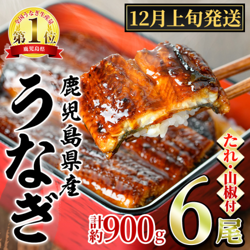 【0364340a-2512】＜12月上旬発送予定＞東串良町のうなぎ蒲焼(無頭)(6尾・計約900g・タレ、山椒付) うなぎ 高級 ウナギ 鰻 国産 蒲焼 蒲焼き たれ 鹿児島 ふるさと 人気 【アクアおおすみ】 2376119 - 鹿児島県東串良町