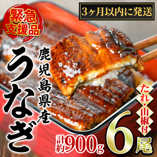 【0334338a】＜3ヶ月以内に発送予定＞東串良町のうなぎ蒲焼(無頭)(6尾・計約900g・タレ、山椒付) うなぎ 高級 ウナギ 鰻 国産 蒲焼 蒲焼き たれ 鹿児島 ふるさと 人気 【アクアおおすみ】 2376123 - 鹿児島県東串良町