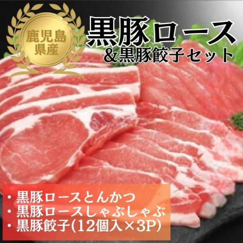 鹿児島県産黒豚ロース＆餃子セット 2376310 - 鹿児島県肝付町