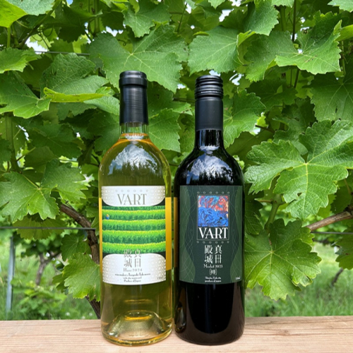 【長野県上田市産ぶどう100％】VART 赤ワイン＋白ワインセット 2376313 - 長野県上田市